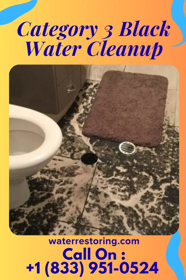 Category 3 Black Water Cleanup in Elmore, AL